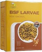 BSF Larvae