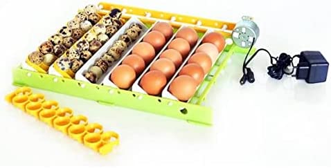 Hatching Time Different Sizes Egg Turner Trays