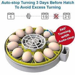 Automatic Egg Hatching Incubator humidity temperature