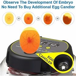 Automatic Egg Hatching Incubator humidity temperature