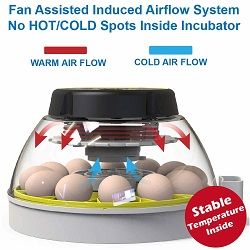 Automatic Egg Hatching Incubator humidity temperature