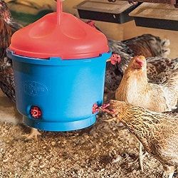 Premier Heated Chicken Waterer