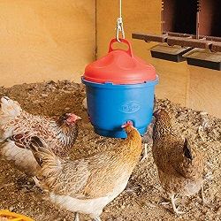 Premier Heated Chicken Waterer