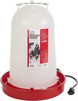 API Heated Chicken Waterer