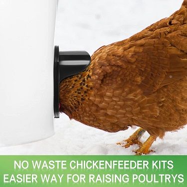 Chengu No Waste Chicken Feeder DIY Kit 20 Piece