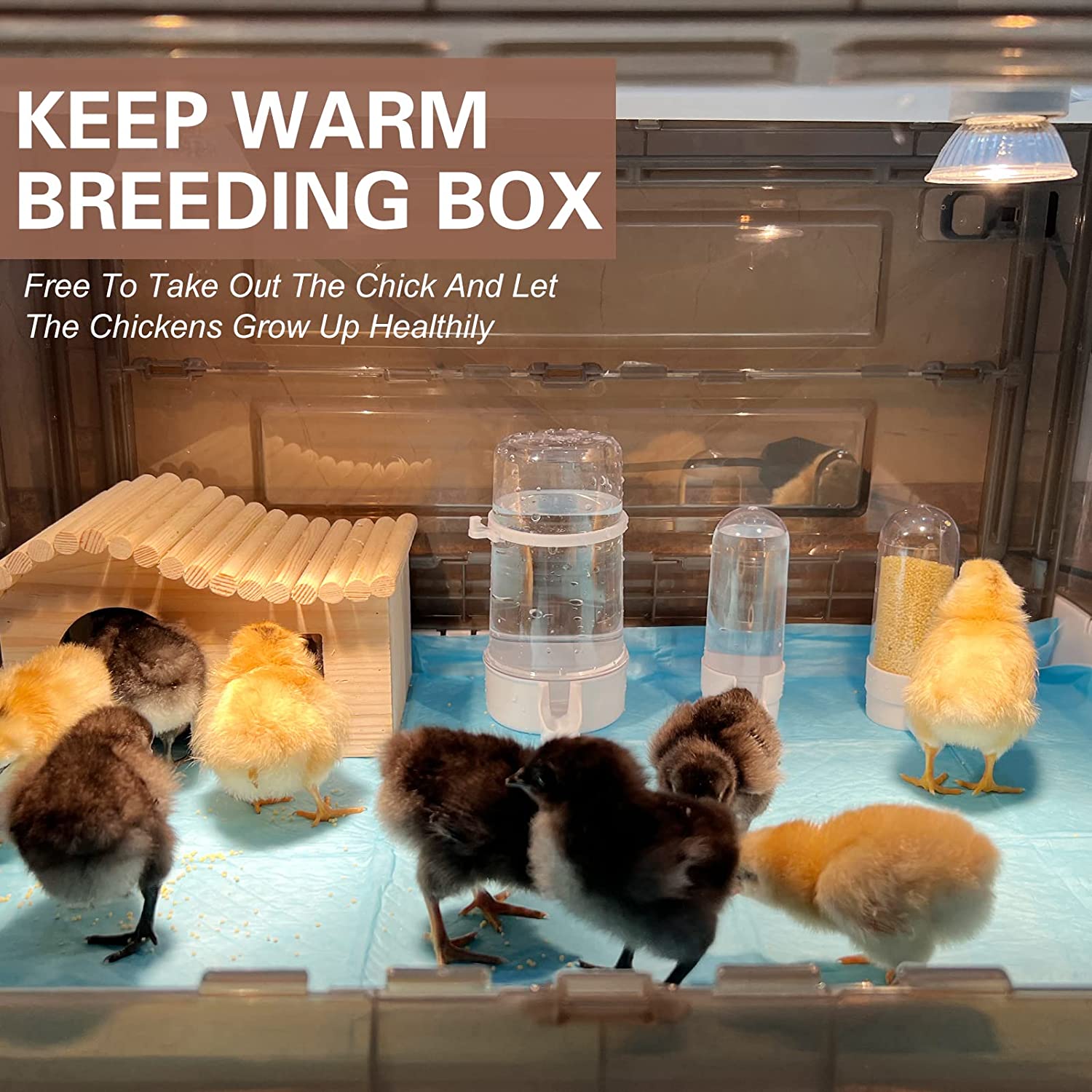 Best Chicks Brooder After Hatching Poultry Eggs