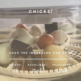 Manna Pro Harris Farms Nurture Right Incubator For Chicken Eggs and other poultry eggs