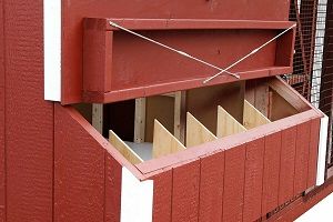 Large Chicken Coops Nesting Boxes