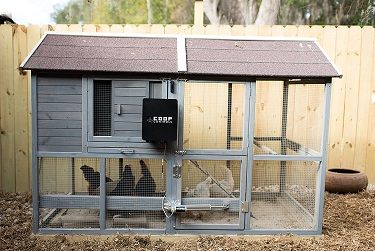 Chicken Coop Door Opener Kit