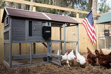 Best chicken coop door automatic opener kit