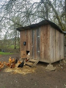 This automatic chicken coop door opener kit will fit with any door