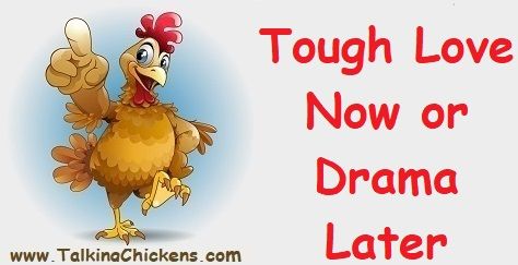 Tough Love Now or Drama Later Talking Chickens