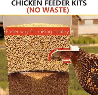 Chicken Feeder Kits No Waste