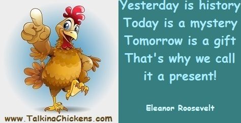 Yesterday is history today is a mystery tomorrow is a gift that's why we call it a present, eleanor roosevelt