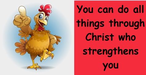 All about chicken wisdom, you can do all things through Christ who strengthens you