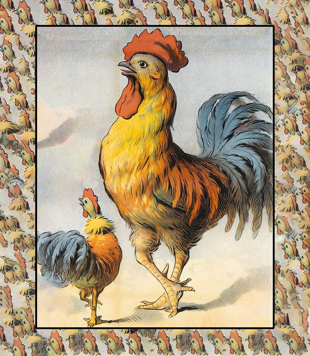 Chicken Design Table Mats Dish Cloth Kitchen Towel Sets