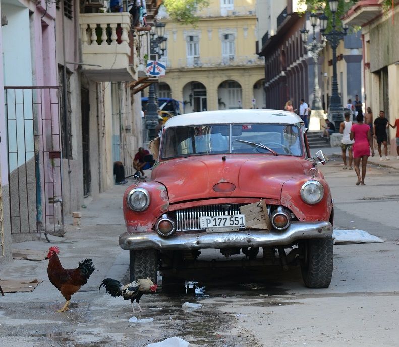 Chicken & Rooster Design Car Accessories Driving In Style